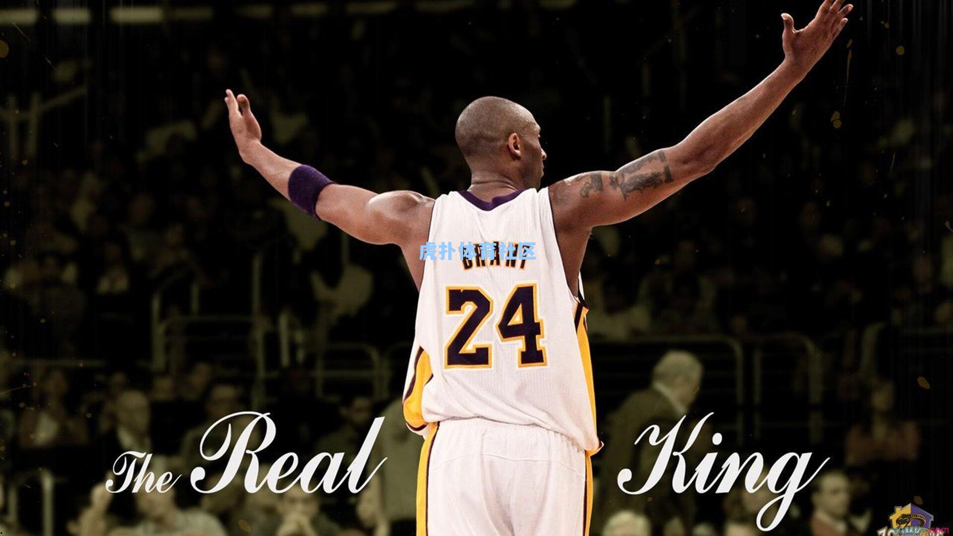 湖人赛季评分深度解析，谁在光环下黯然失色？